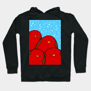 Robinz at Christmas Hoodie